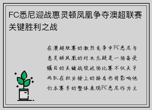 FC悉尼迎战惠灵顿凤凰争夺澳超联赛关键胜利之战